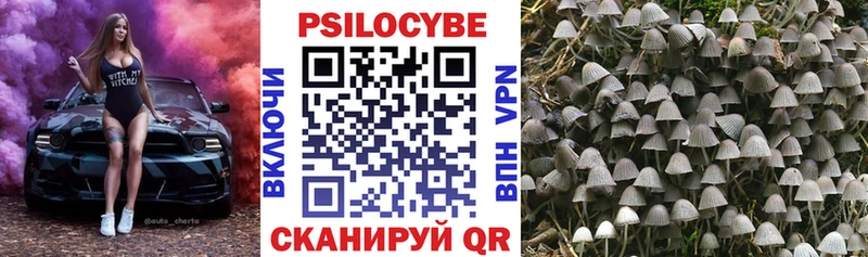 что такое наркотик Углегорск гидра ССЫЛКА darknet Telegram Псилоцибиновые грибы GOLDEN TEACHER